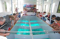 Łódź z szklanym dnem (20$)