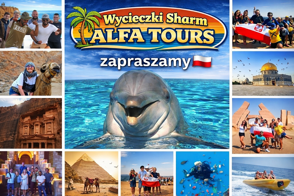 Serdecznie zapraszamy do kontaktu 📳: +2/01102905920 (what'sapp) __________________________________________________________________